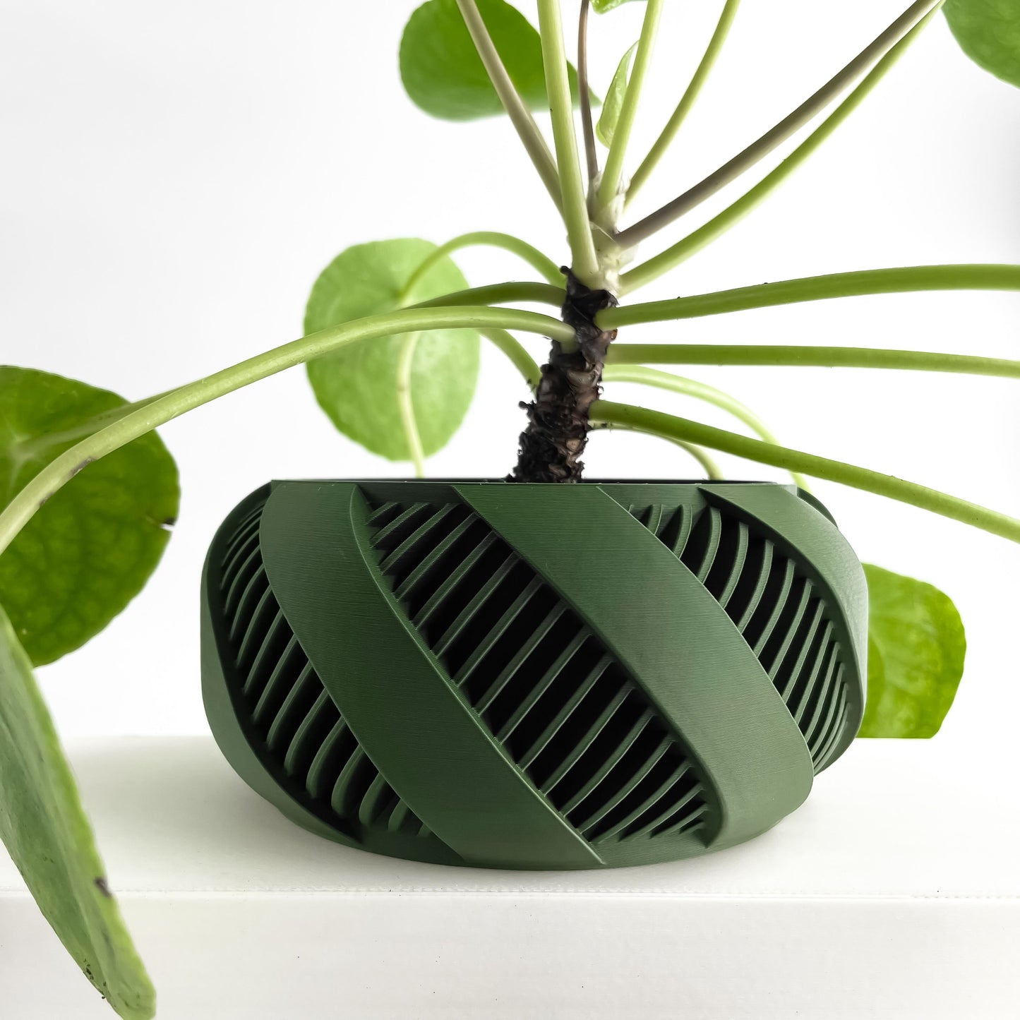Fractal Planter Pot, Nordic Style Addition, Funky Workspace Accent, Japandi Minimalist Kind