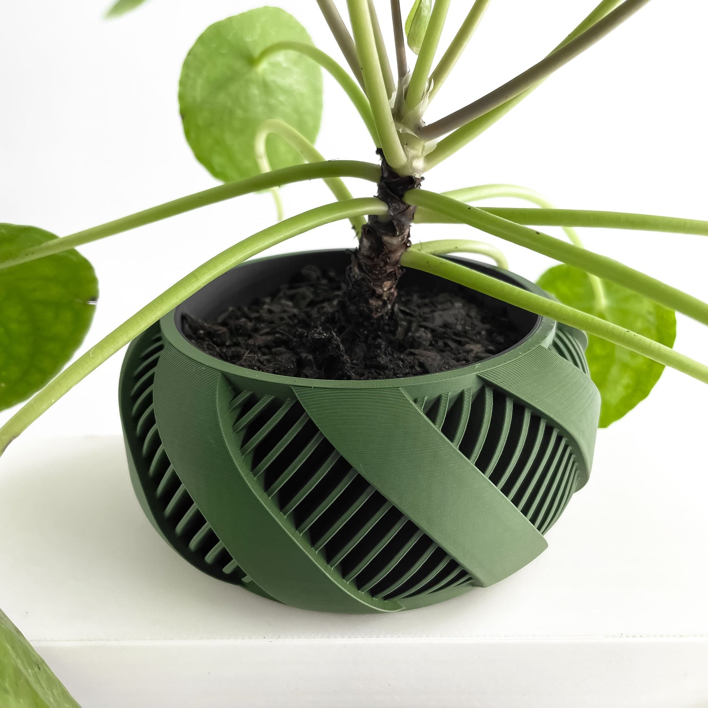 Fractal Planter Pot, Nordic Style Addition, Funky Workspace Accent, Japandi Minimalist Kind