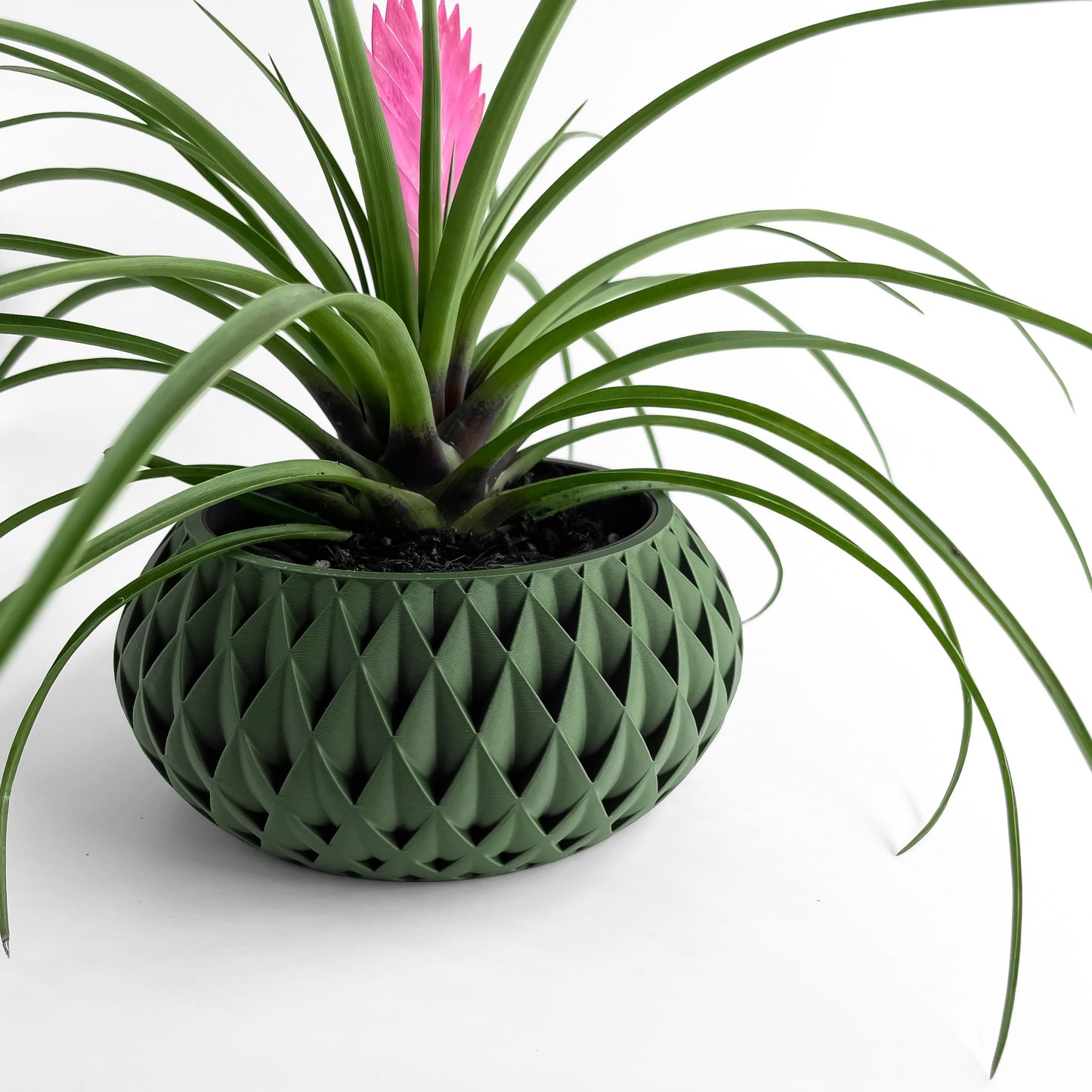 succulent planter, herb pot, contemporary plant holder, minimalist desktop organizer