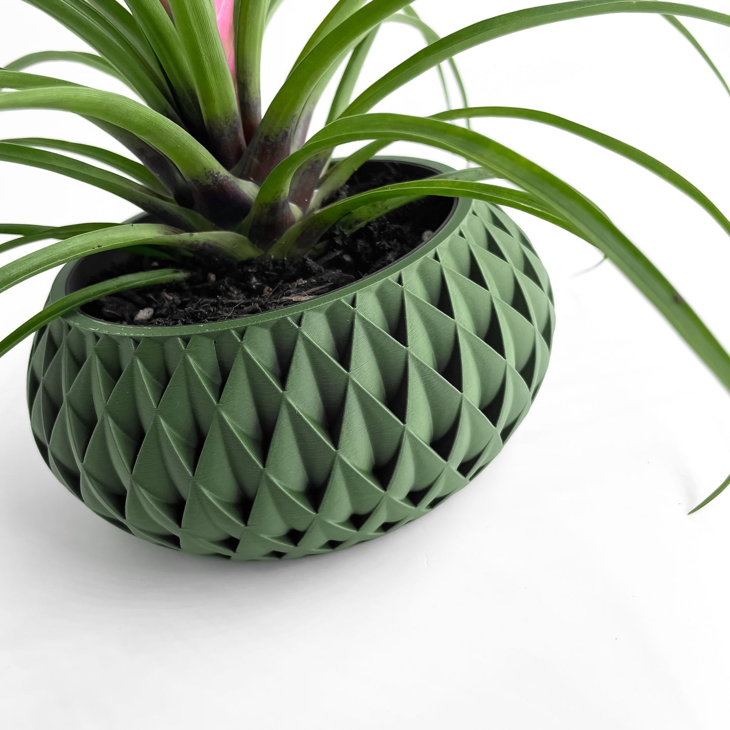 succulent planter, herb pot, contemporary plant holder, minimalist desktop organizer