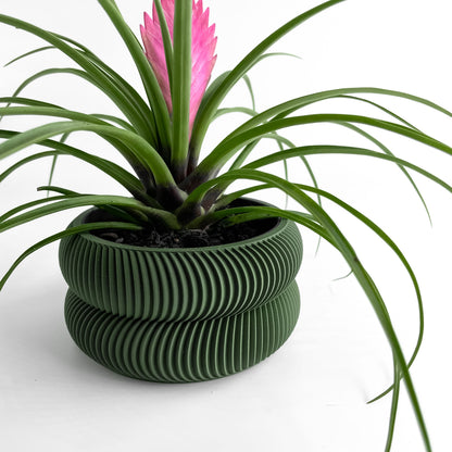 indoor planter, herb holder, modern workspace organizer, compact succulent container