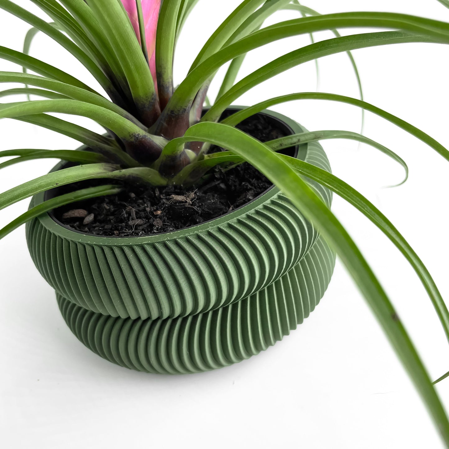 indoor planter, herb holder, modern workspace organizer, compact succulent container