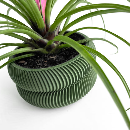 indoor planter, herb holder, modern workspace organizer, compact succulent container