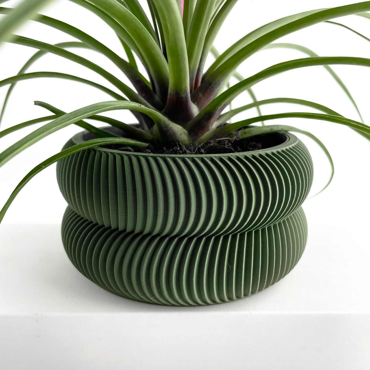 indoor planter, herb holder, modern workspace organizer, compact succulent container