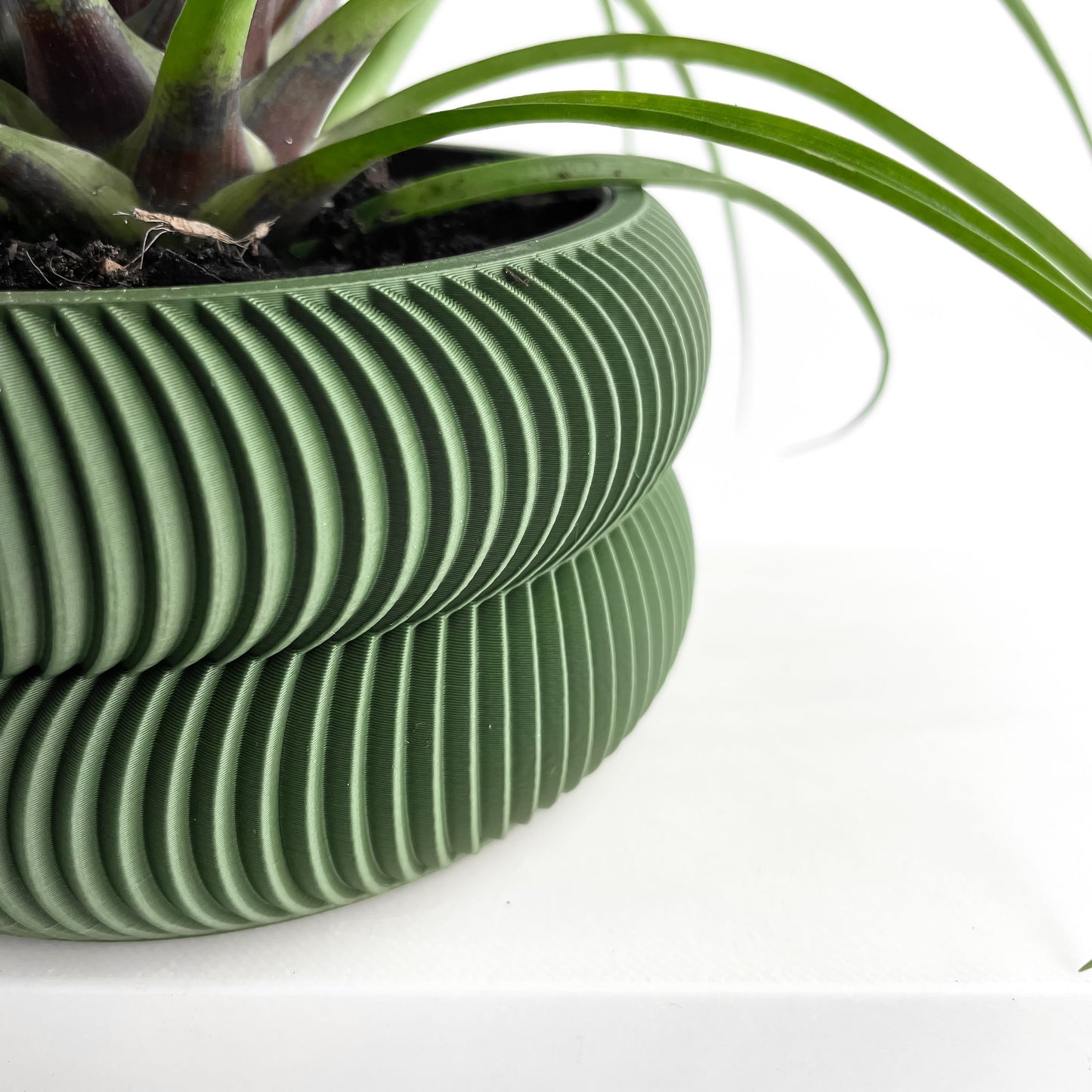 indoor planter, herb holder, modern workspace organizer, compact succulent container