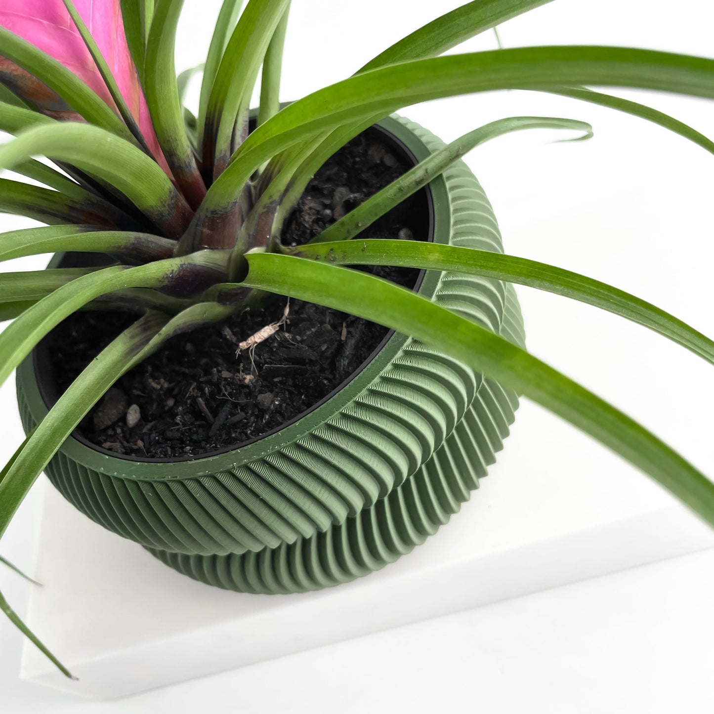 indoor planter, herb holder, modern workspace organizer, compact succulent container