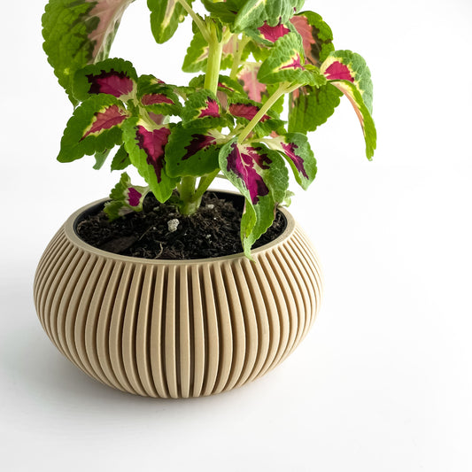 Planter Pot, Artistic Vessel, Succulent Display, Fractal Japandi Accent, Matte Flowering Decor, Art Deco