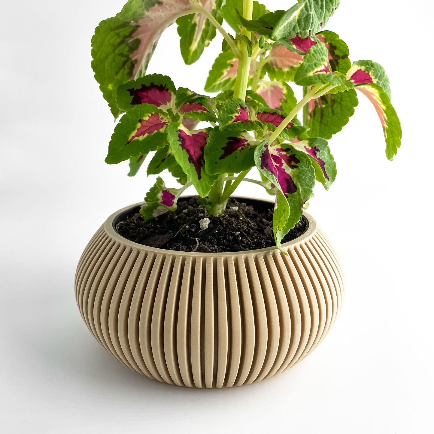 Planter Pot, Artistic Vessel, Succulent Display, Fractal Japandi Accent, Matte Flowering Decor, Art Deco