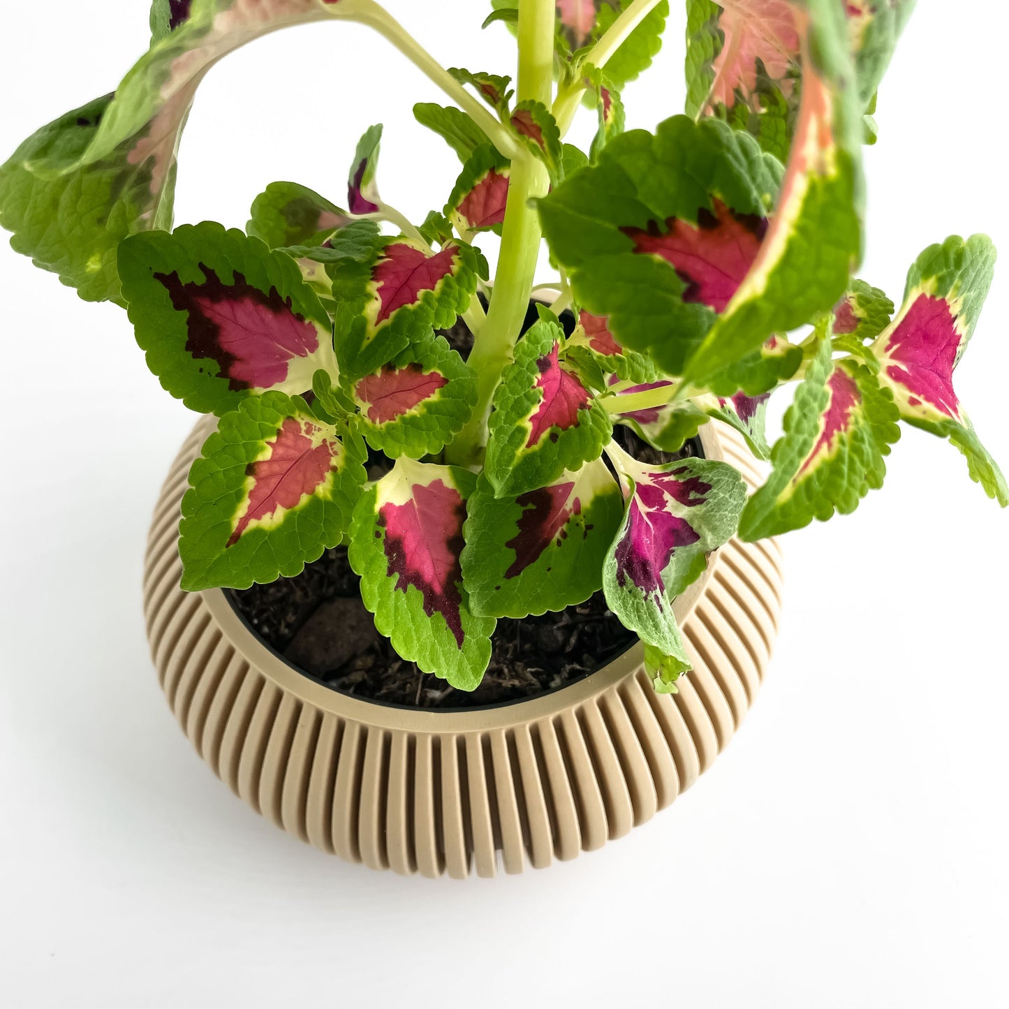 Planter Pot, Artistic Vessel, Succulent Display, Fractal Japandi Accent, Matte Flowering Decor, Art Deco