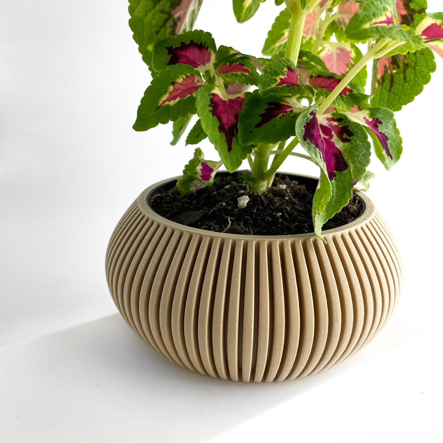 Planter Pot, Artistic Vessel, Succulent Display, Fractal Japandi Accent, Matte Flowering Decor, Art Deco