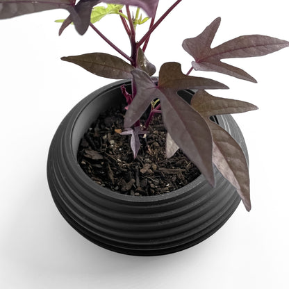 Geometric Planter Pot, Front-Facing Succulent Holder, Herb Organizer, Minimalist, Nordic Style, Art Deco Accent