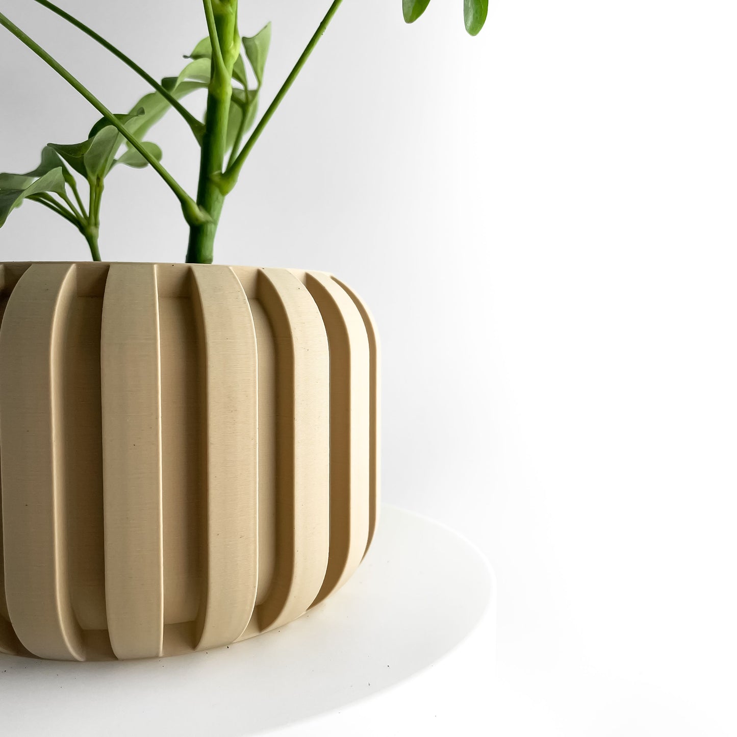 Planter Pot, Succulent Vessel, Indoor Plant Holder, Workspace Organizer Minimalist