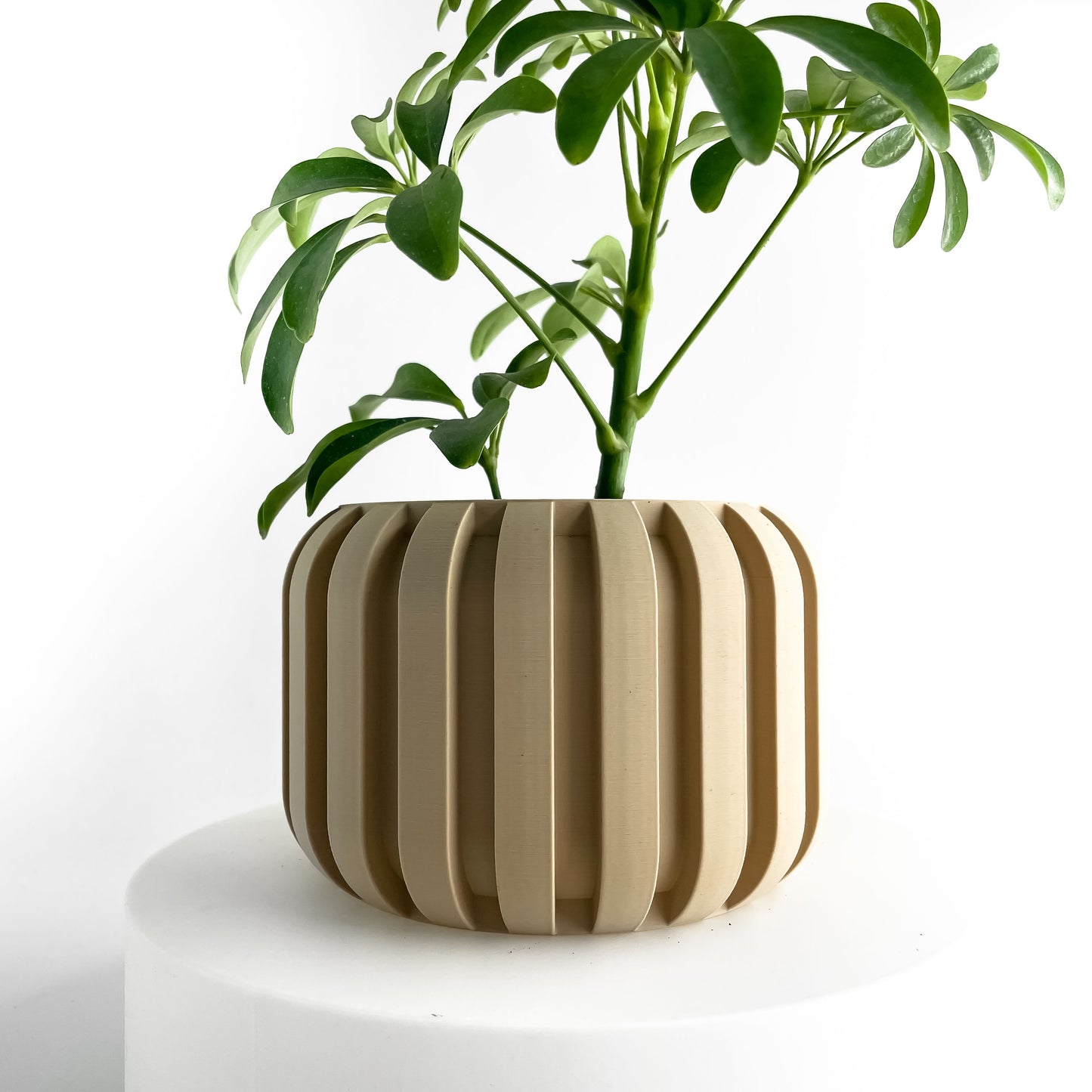 Planter Pot, Succulent Vessel, Indoor Plant Holder, Workspace Organizer Minimalist