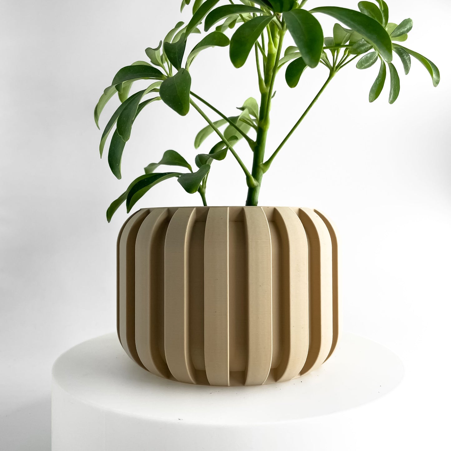 Planter Pot, Succulent Vessel, Indoor Plant Holder, Workspace Organizer Minimalist