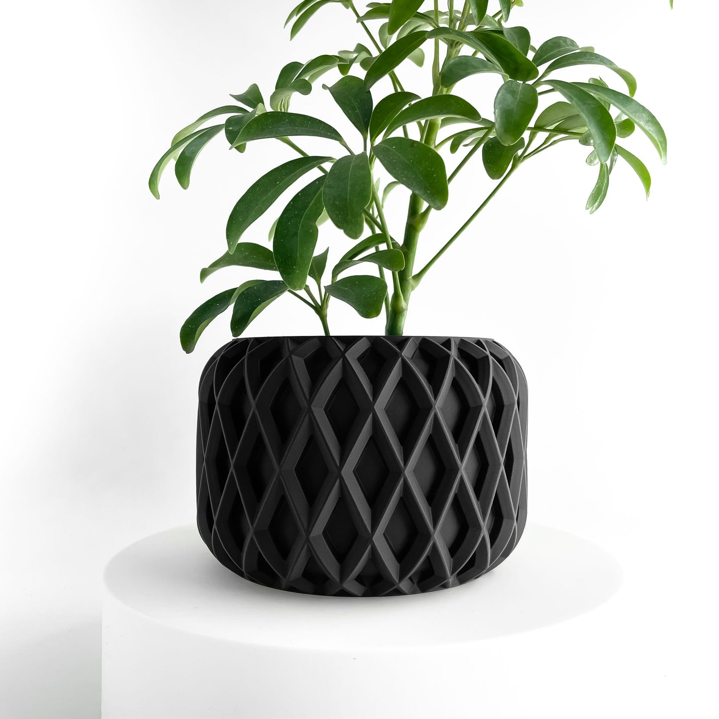 Planter Pot, Minimalist Indoor Vessel, Succulent Cup, Herb Container, HomeLifestyle