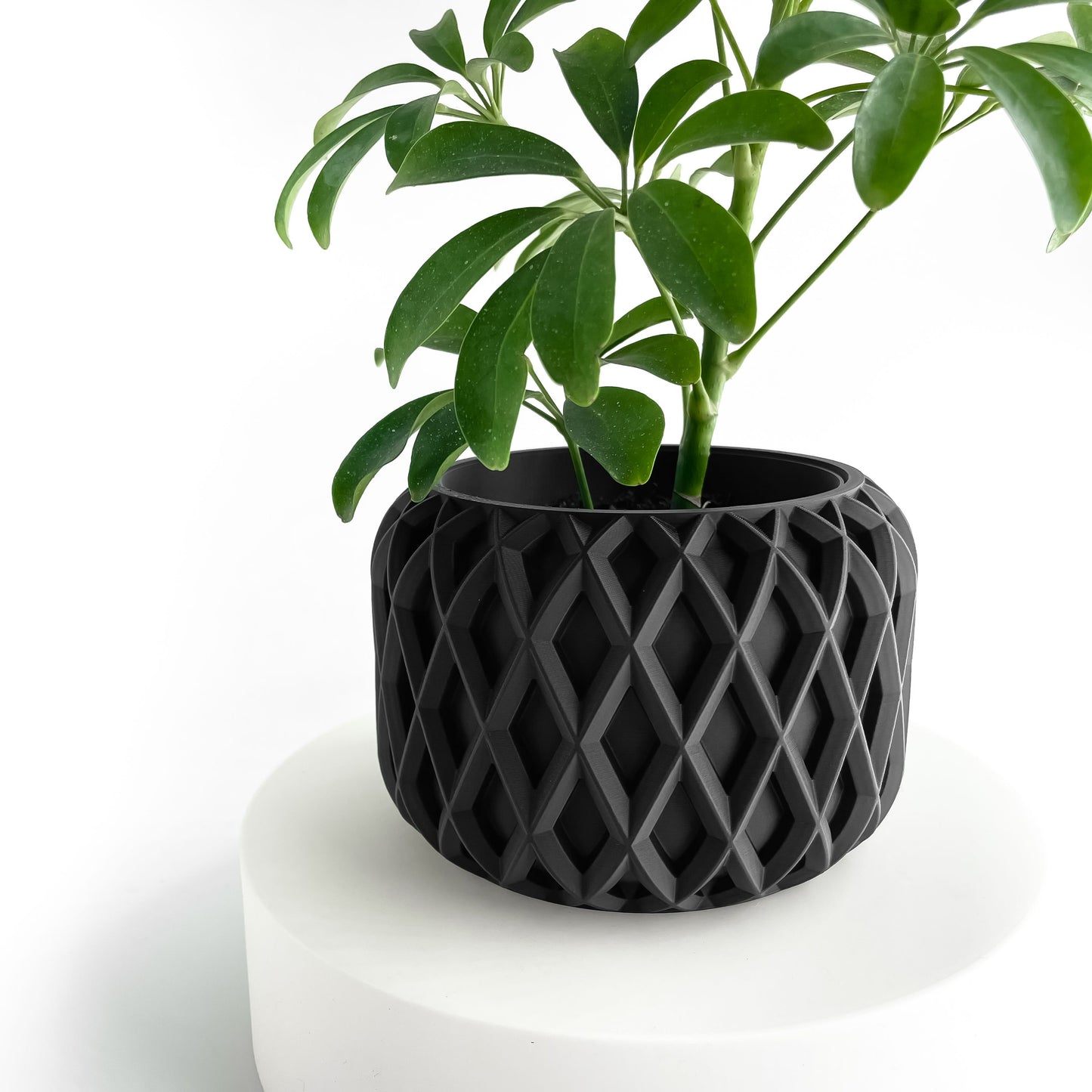 Planter Pot, Minimalist Indoor Vessel, Succulent Cup, Herb Container, HomeLifestyle