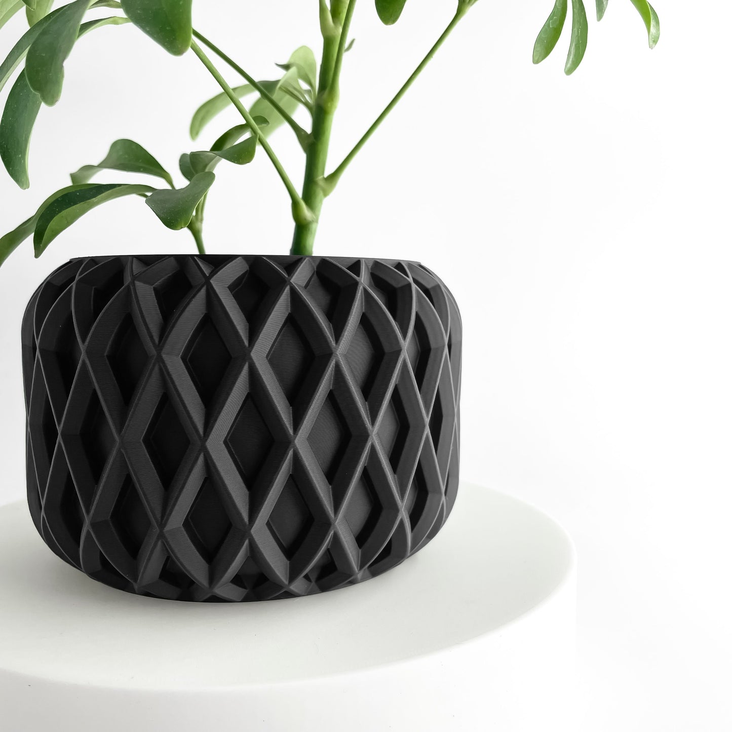 Planter Pot, Minimalist Indoor Vessel, Succulent Cup, Herb Container, HomeLifestyle