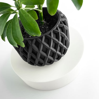 Planter Pot, Minimalist Indoor Vessel, Succulent Cup, Herb Container, HomeLifestyle