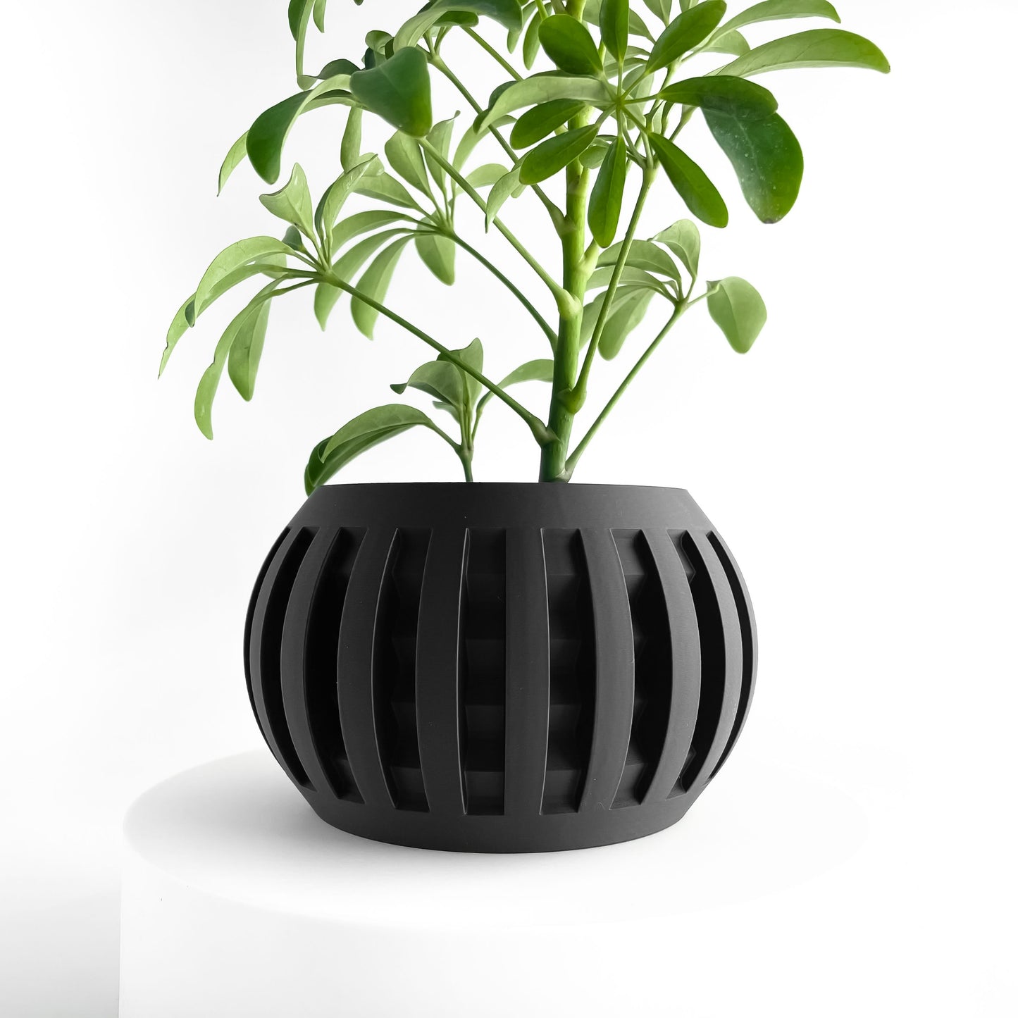Geometric Planter, Indoor Succulent Pot, Desktop Herb Container, Modern Plant Accent