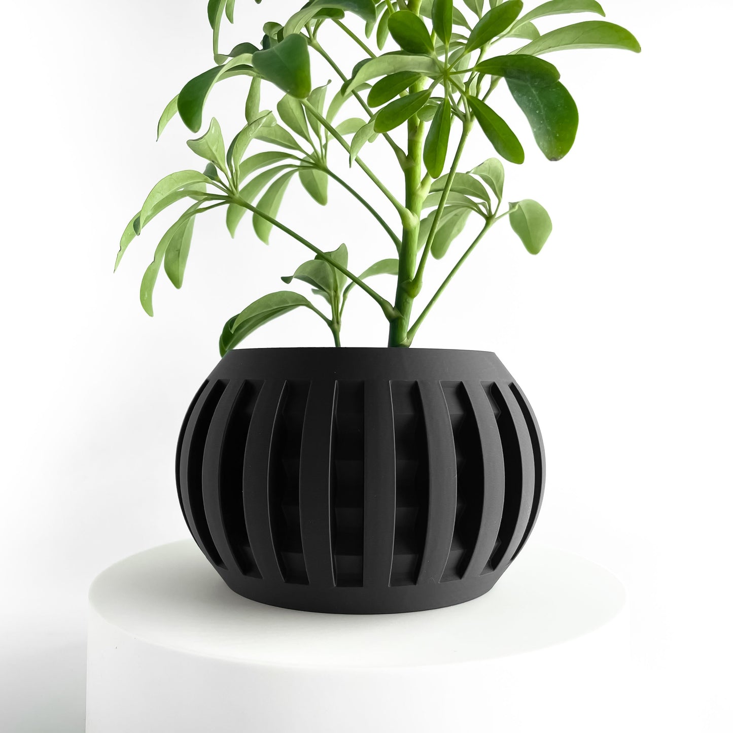 Geometric Planter, Indoor Succulent Pot, Desktop Herb Container, Modern Plant Accent