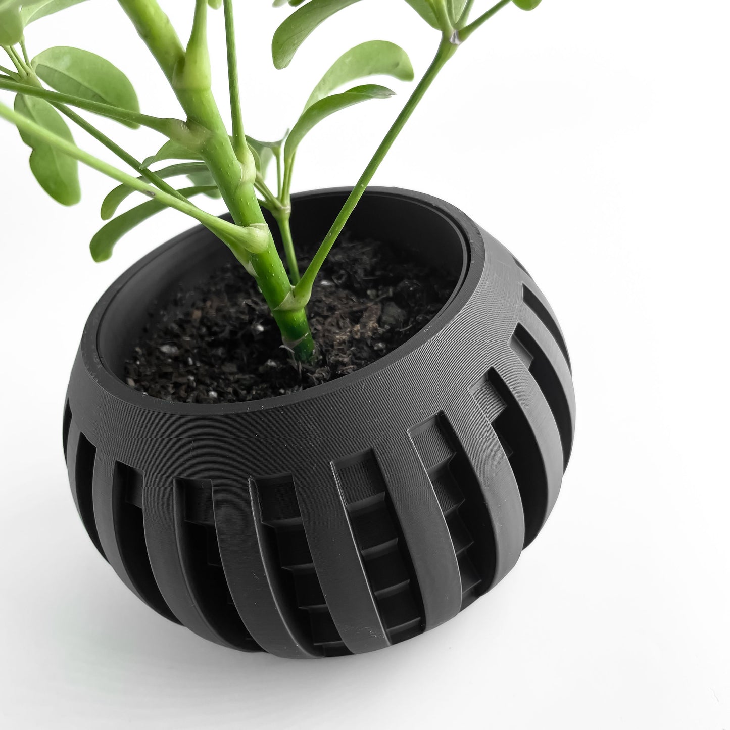 Geometric Planter, Indoor Succulent Pot, Desktop Herb Container, Modern Plant Accent