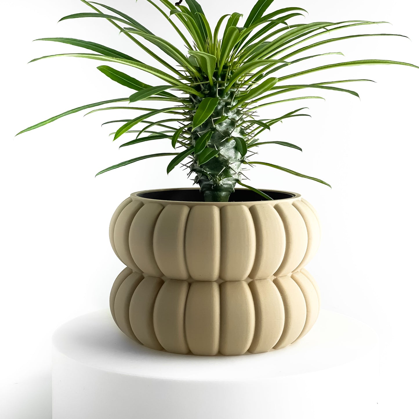 Planter Pot, Minimalist Olive Scandinavian Lifestyle Decor, Indoor Succulent Vessel