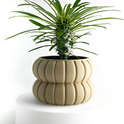 Planter Pot, Minimalist Olive Scandinavian Lifestyle Decor, Indoor Succulent Vessel