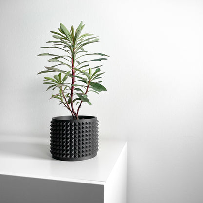 Succulent Planter, Sculptural Indoor Vessel, Contemporary Black Deco Desktop Organizer