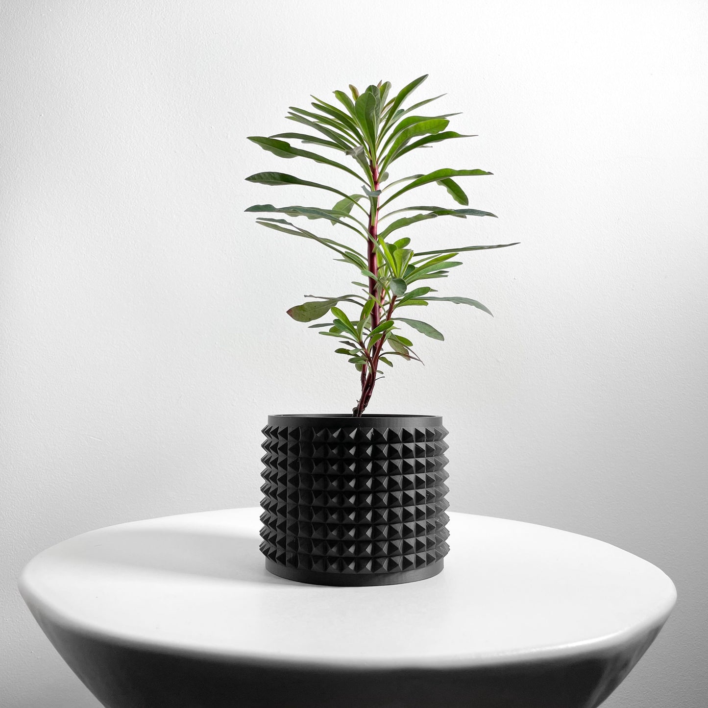 Succulent Planter, Sculptural Indoor Vessel, Contemporary Black Deco Desktop Organizer