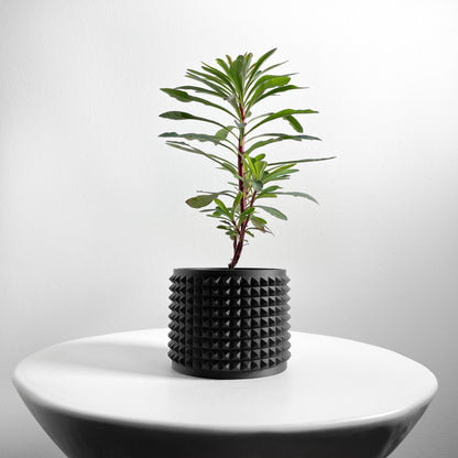 Succulent Planter, Sculptural Indoor Vessel, Contemporary Black Deco Desktop Organizer