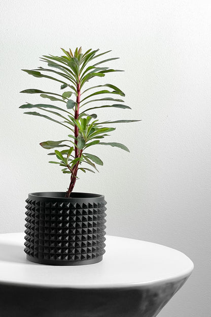 Succulent Planter, Sculptural Indoor Vessel, Contemporary Black Deco Desktop Organizer