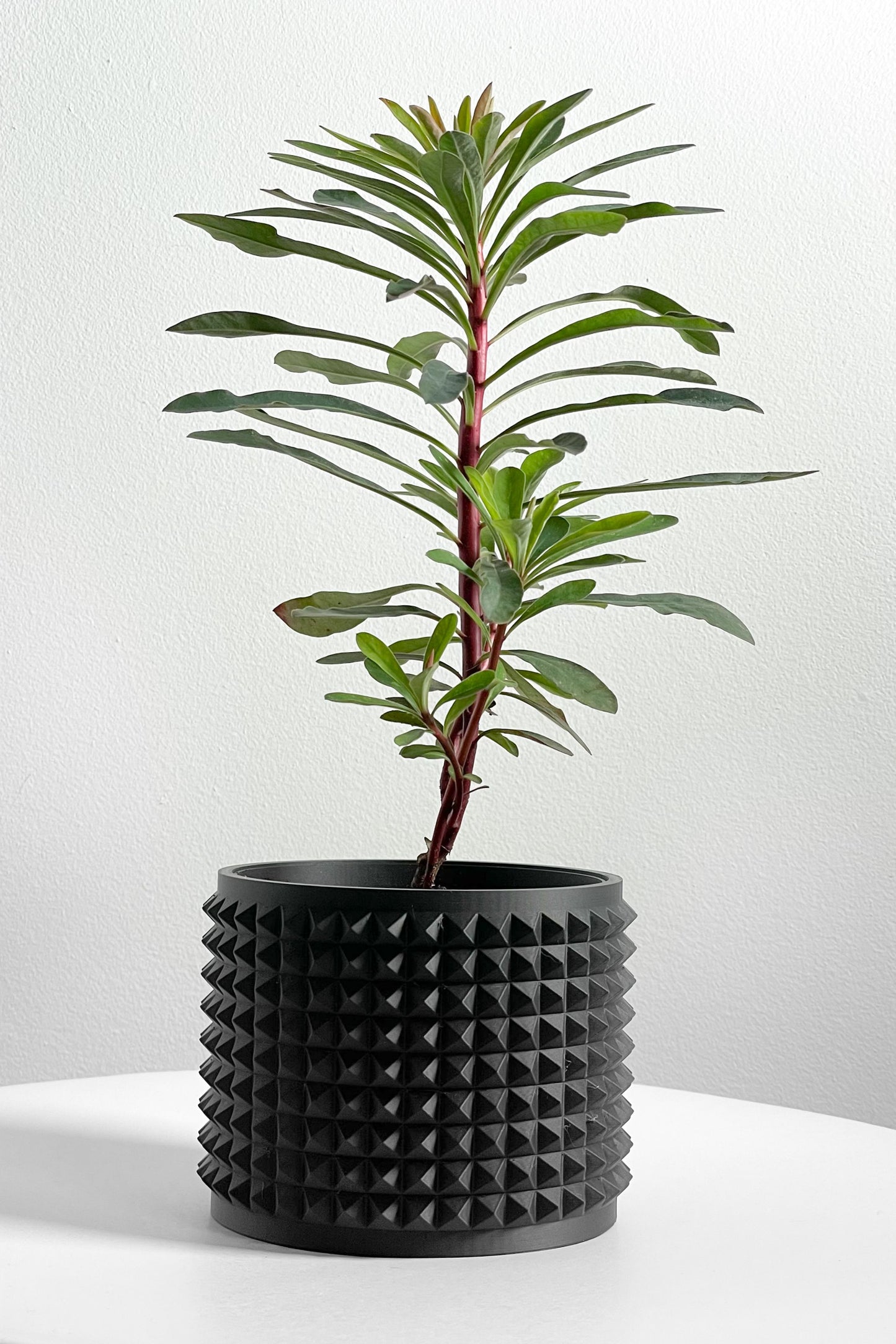 Succulent Planter, Sculptural Indoor Vessel, Contemporary Black Deco Desktop Organizer