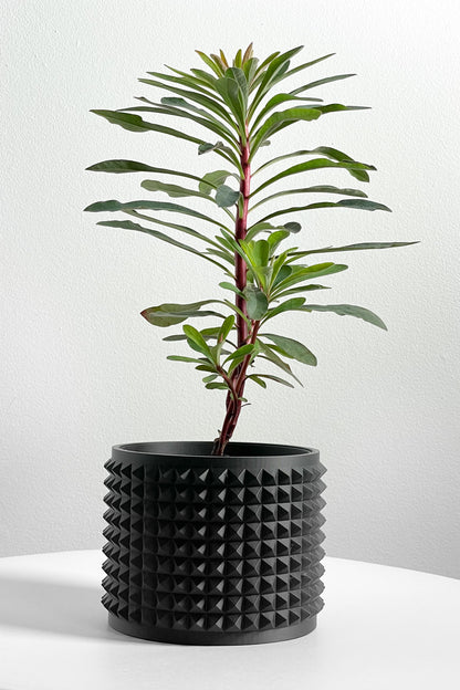 Succulent Planter, Sculptural Indoor Vessel, Contemporary Black Deco Desktop Organizer