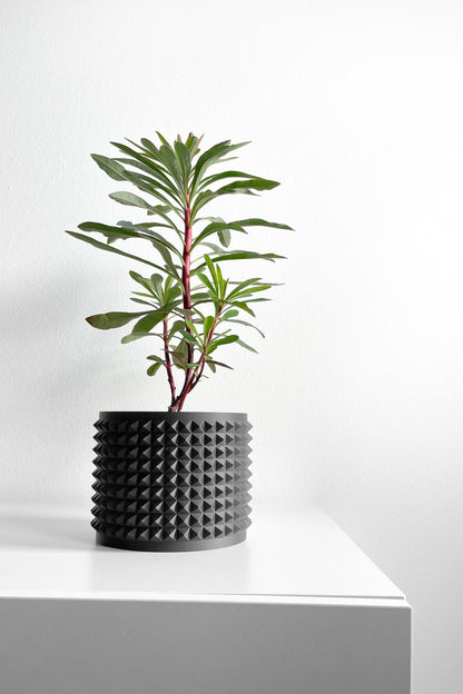 Succulent Planter, Sculptural Indoor Vessel, Contemporary Black Deco Desktop Organizer