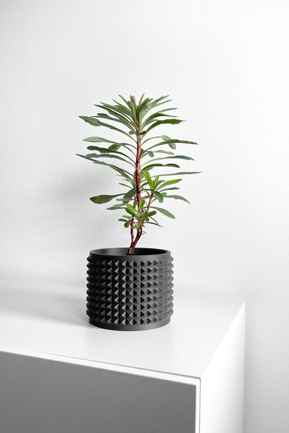 Succulent Planter, Sculptural Indoor Vessel, Contemporary Black Deco Desktop Organizer