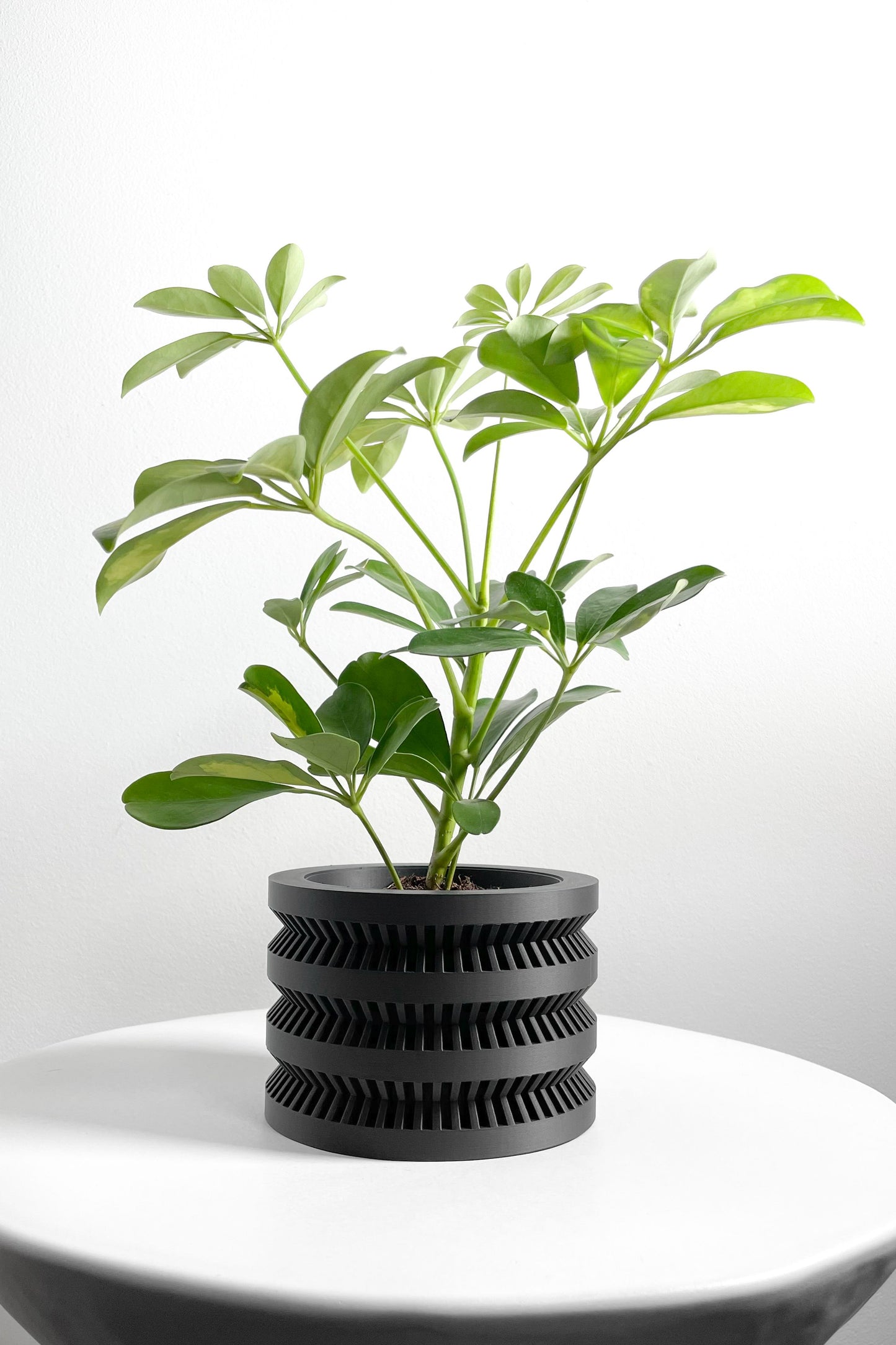 Modern Planter Pot, Scandinavian Succulent Vessel, Elegant Desktop Organizer Accent