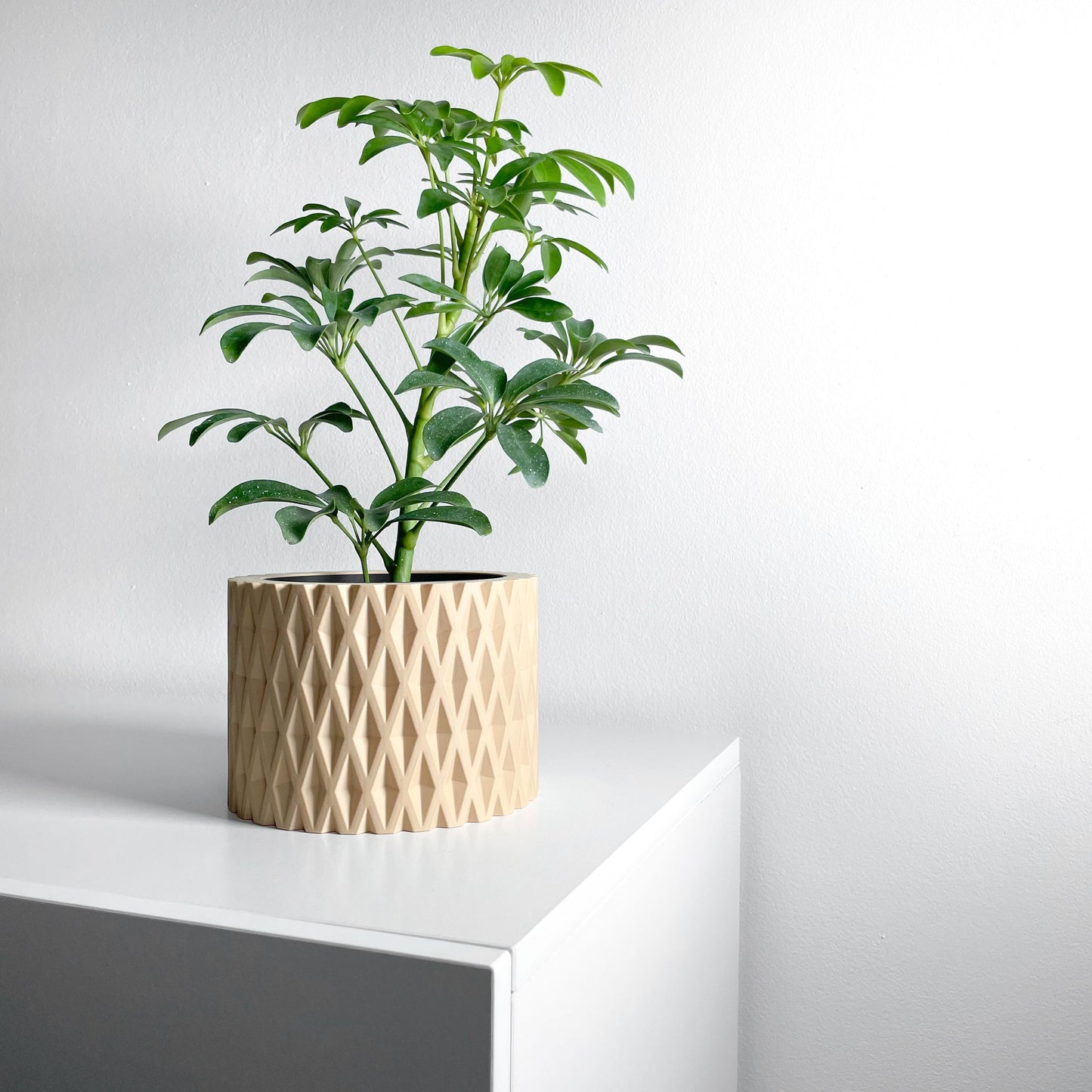 Planter Pot, Contemporary Indoor Container, Succulent Holder, Herb Decor, Minimalist Balcony Plant Idea