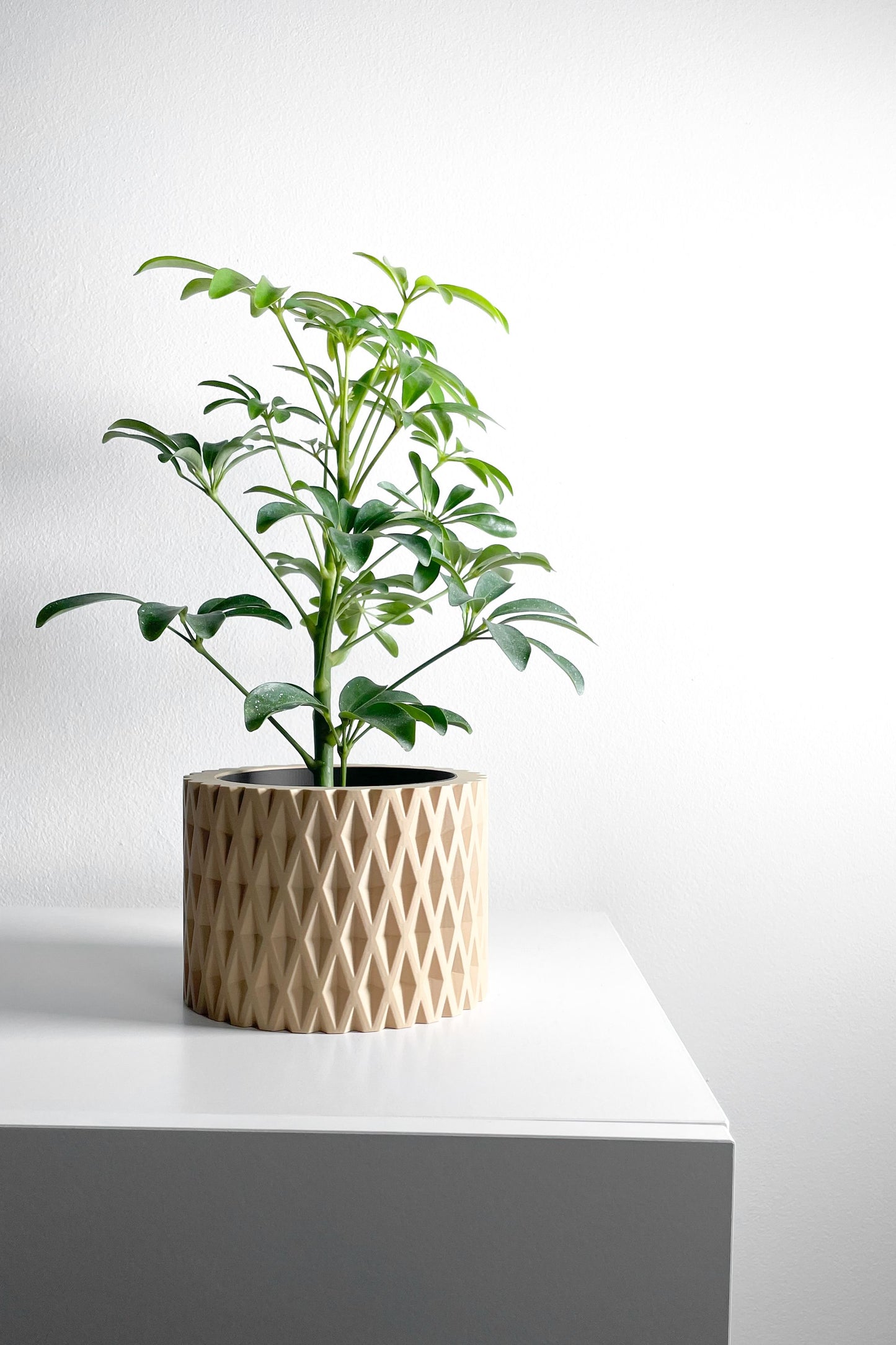 Planter Pot, Contemporary Indoor Container, Succulent Holder, Herb Decor, Minimalist Balcony Plant Idea