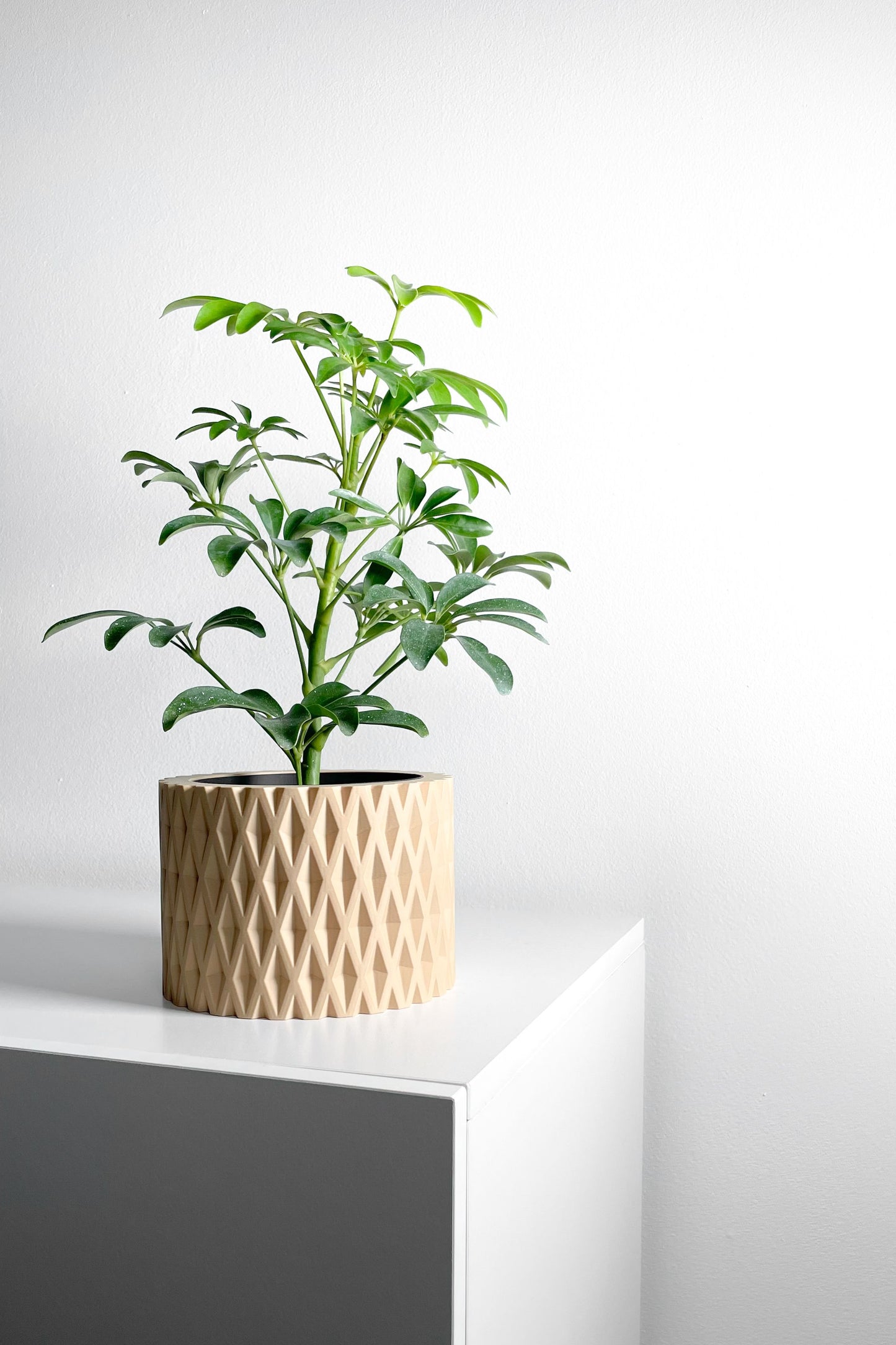 Planter Pot, Contemporary Indoor Container, Succulent Holder, Herb Decor, Minimalist Balcony Plant Idea