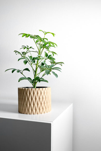 Planter Pot, Contemporary Indoor Container, Succulent Holder, Herb Decor, Minimalist Balcony Plant Idea