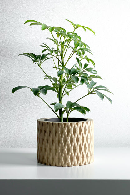 Planter Pot, Contemporary Indoor Container, Succulent Holder, Herb Decor, Minimalist Balcony Plant Idea