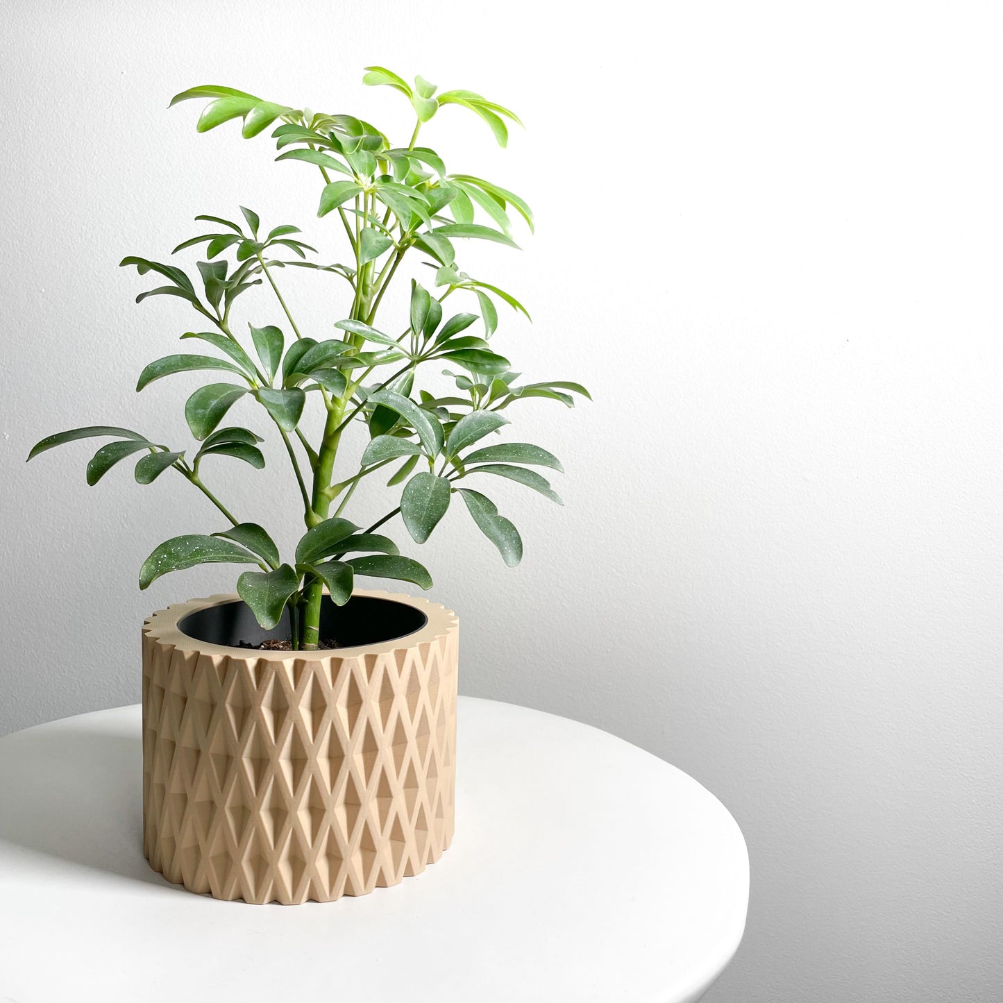 Planter Pot, Contemporary Indoor Container, Succulent Holder, Herb Decor, Minimalist Balcony Plant Idea