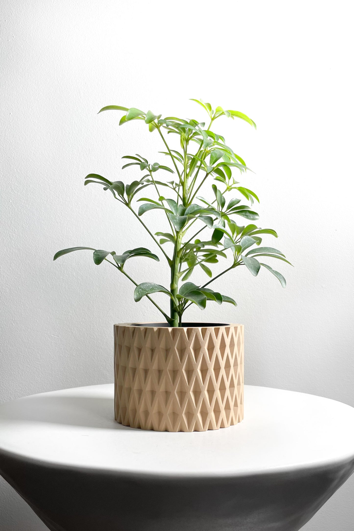 Planter Pot, Contemporary Indoor Container, Succulent Holder, Herb Decor, Minimalist Balcony Plant Idea