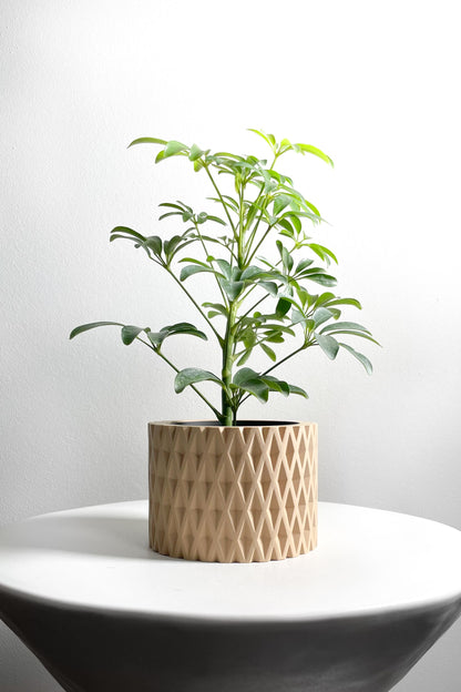 Planter Pot, Contemporary Indoor Container, Succulent Holder, Herb Decor, Minimalist Balcony Plant Idea