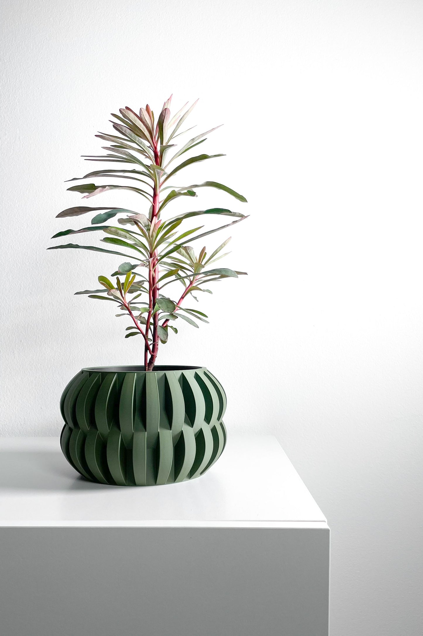 Decorative Planter Pot, Sculptural Indoor Plant Vessel, Desk Herb Organizer, Modern 3D Printed Bowl