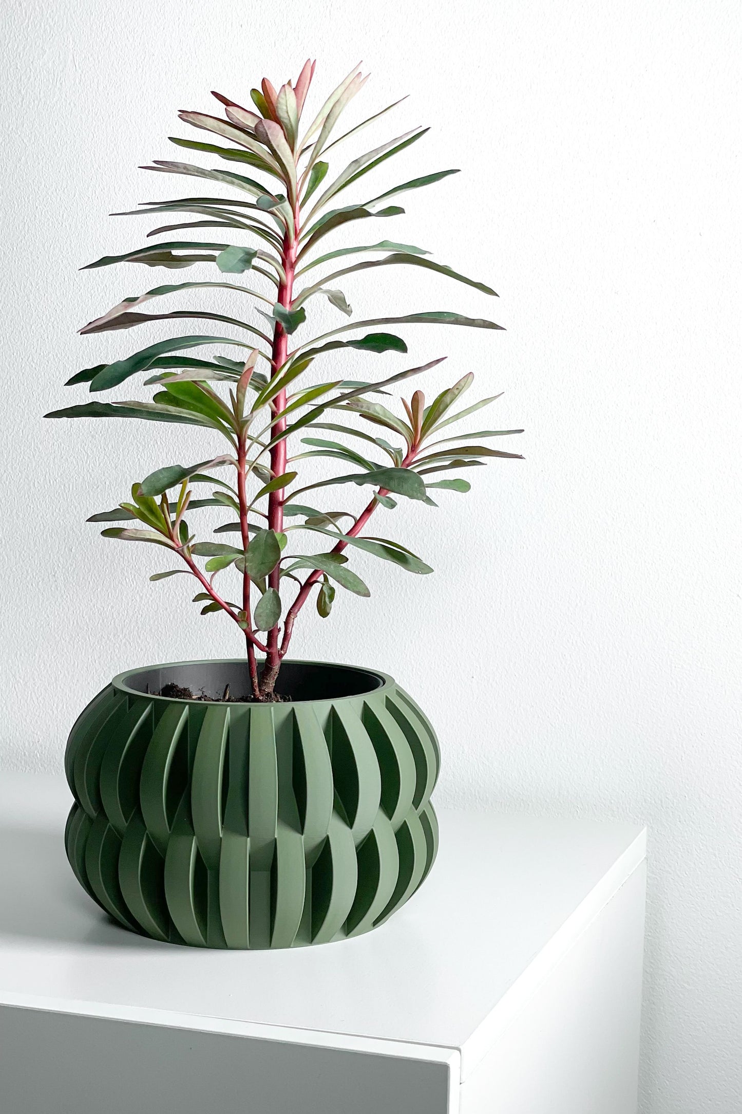 Decorative Planter Pot, Sculptural Indoor Plant Vessel, Desk Herb Organizer, Modern 3D Printed Bowl