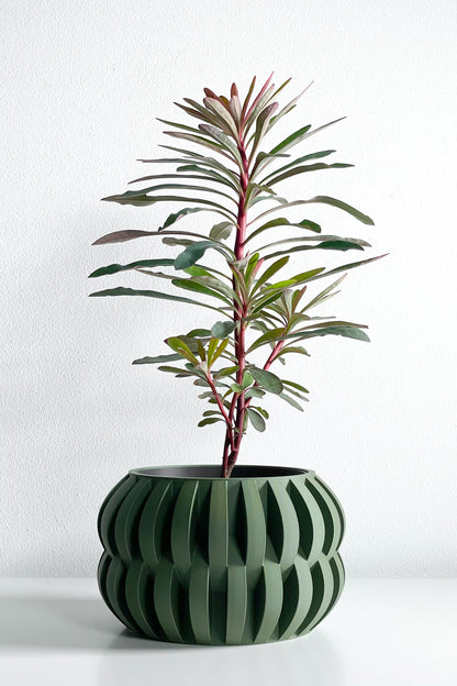 Decorative Planter Pot, Sculptural Indoor Plant Vessel, Desk Herb Organizer, Modern 3D Printed Bowl