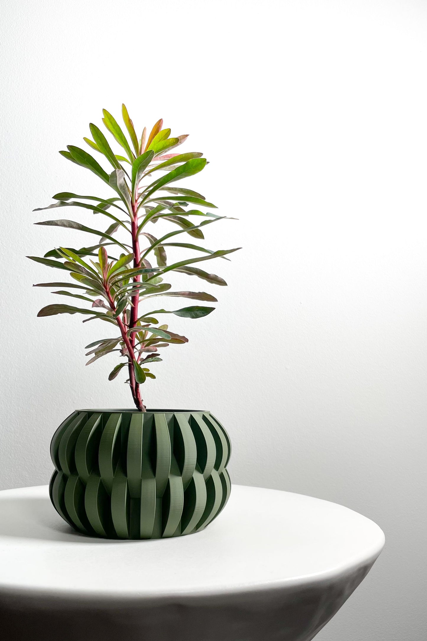 Decorative Planter Pot, Sculptural Indoor Plant Vessel, Desk Herb Organizer, Modern 3D Printed Bowl