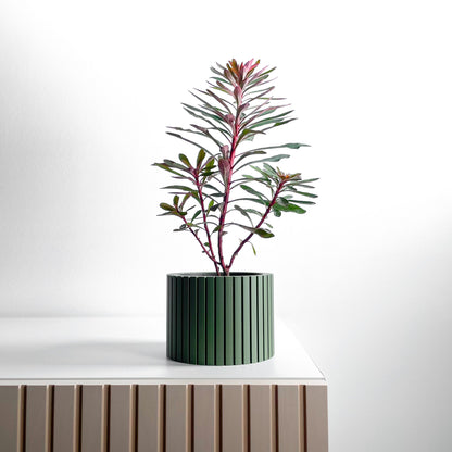 Succulent Planter, Sculptural Indoor Vessel, Geometric Desk Organizer, Herb Holder