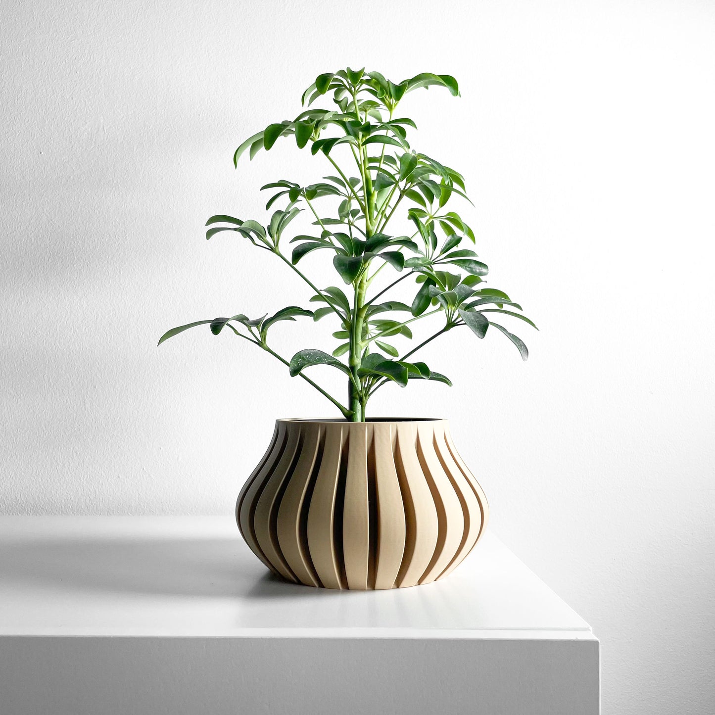 Planter Pot, Sculptural SucculentHolder, Indoor Desktop Organizer, TexturedMatte Accent